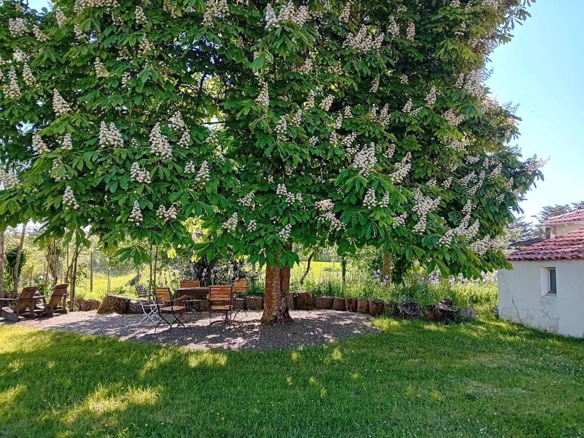 Auberge BonBeauJoli Saint-Jean-de-Monts Extérieur photo